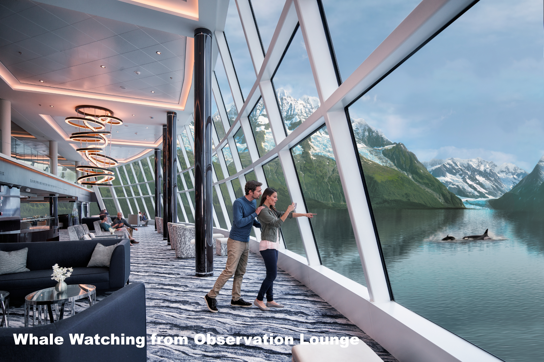 3 Norwegian whale watching form observation lounge 
